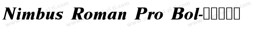 Nimbus Roman Pro Bol字体转换